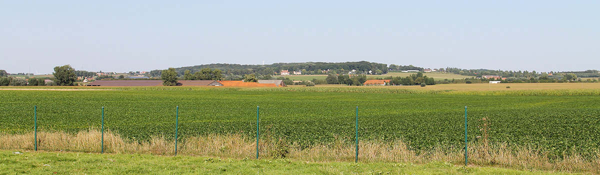 sfeerbeeld omgeving hoeve